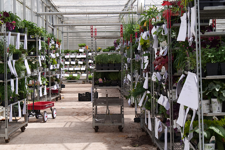 Preparing orders in the greenhouse
