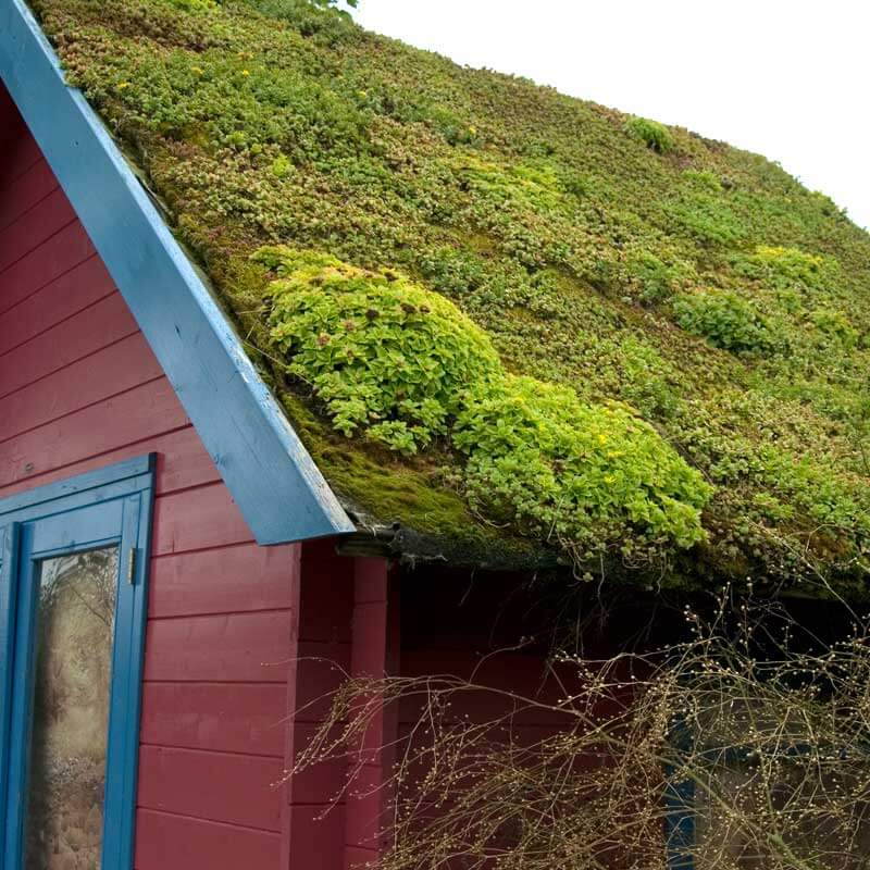 Faible inflammabilité