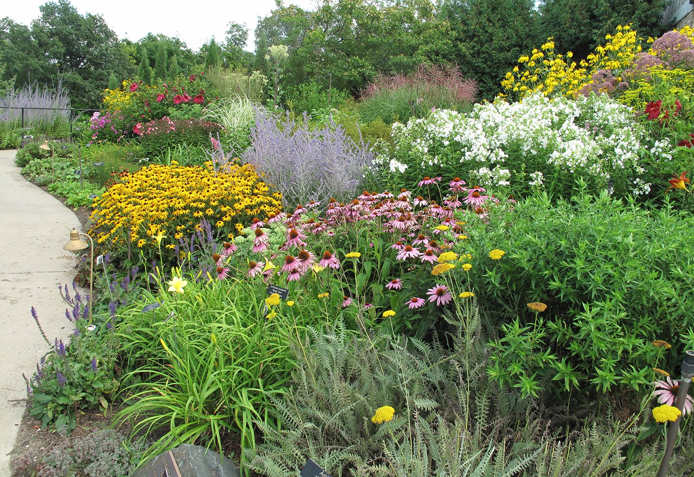 A variety of perennials in a botanical garden