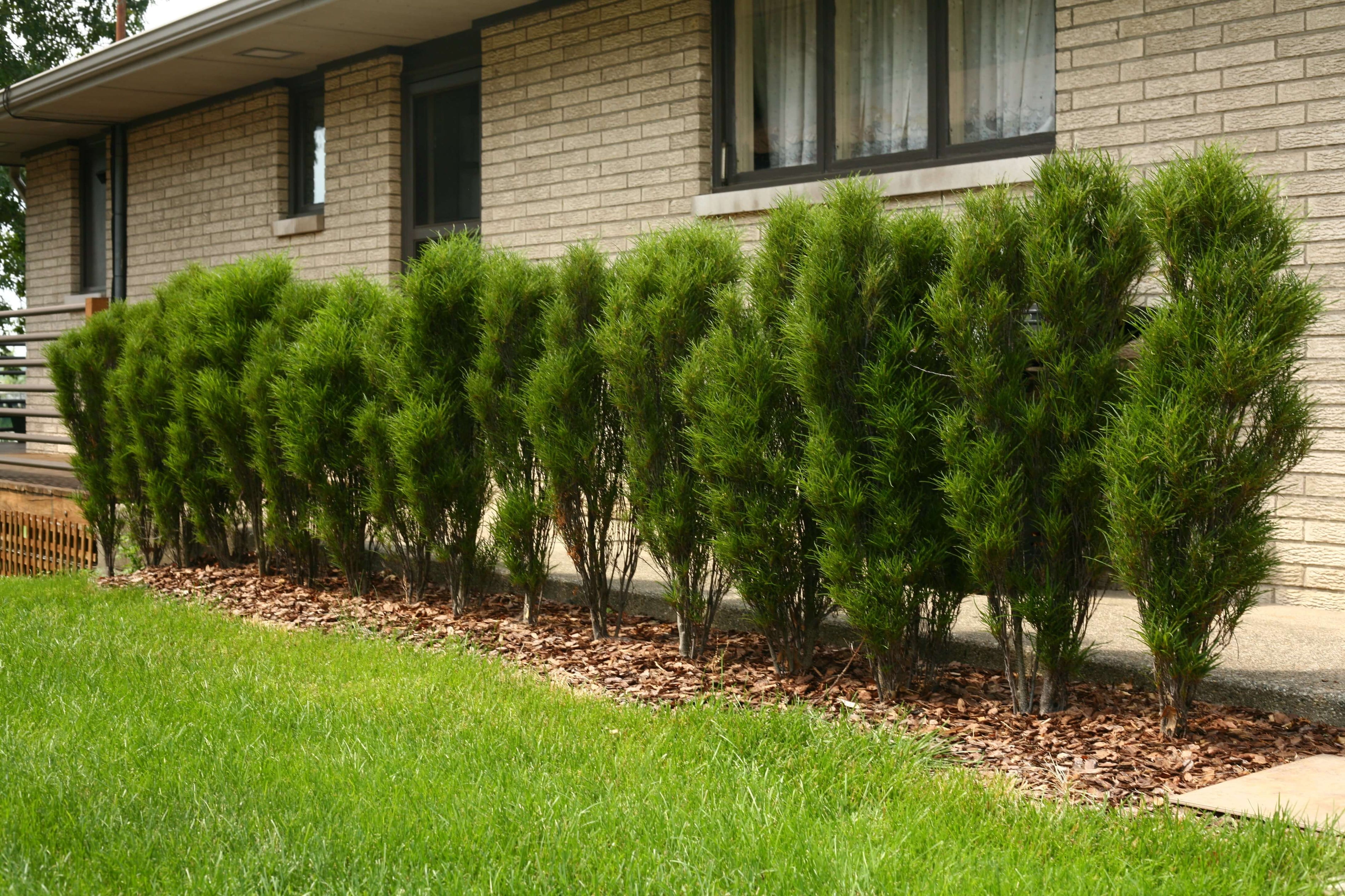 Économiseurs d'espace