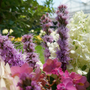 Purple blazing star cuttings in a flower arrangement