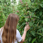Person with long hair and a white shirt interacting with green foliage and flowers.
