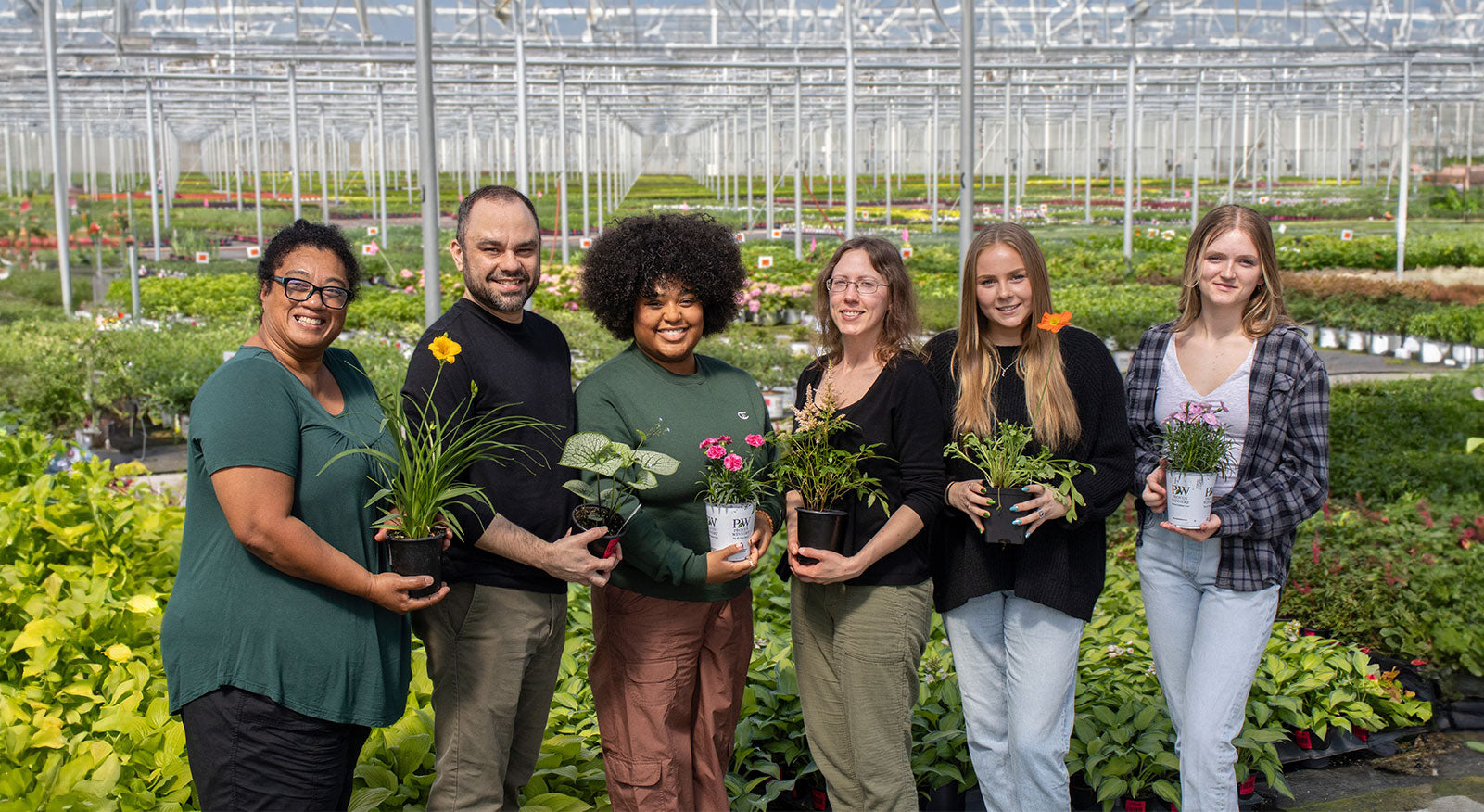 Meet the Team – Great Garden Plants