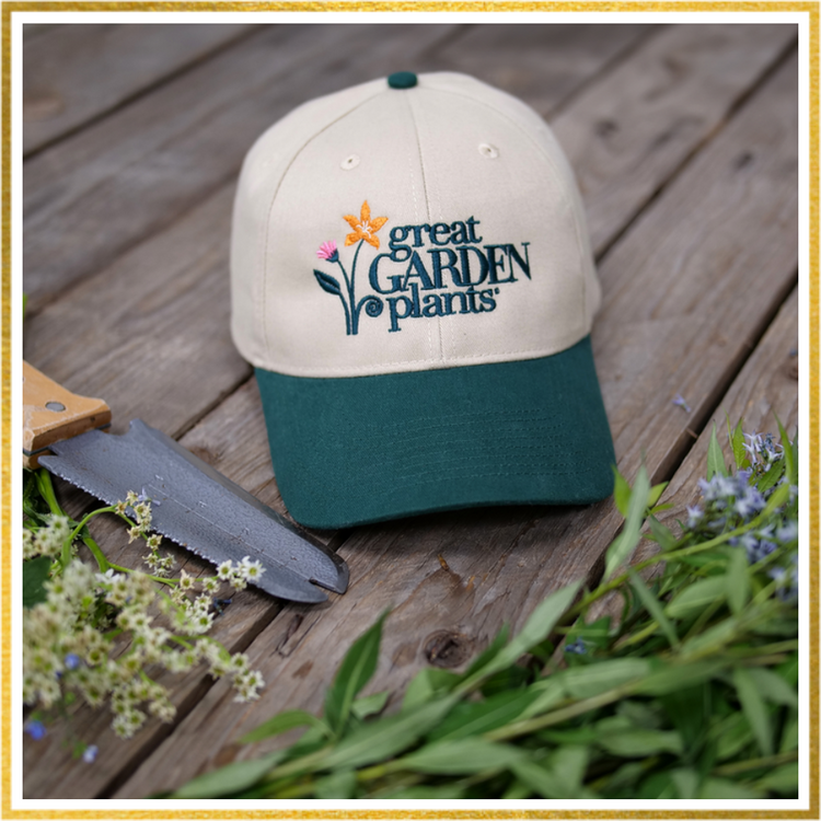 Great Garden Plants hat surrounded by gold frame