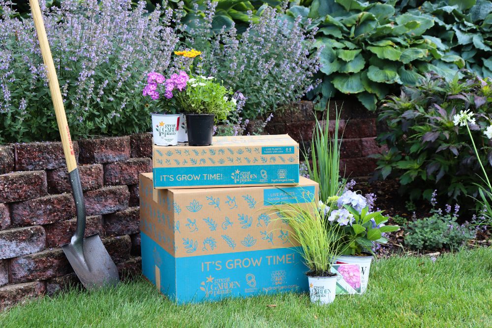 Great Garden Plants delivery with vibrant perennials and shrubs sitting next to a shovel in a garden setting