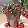 Bright red berries shining bright in silver container, surrounded by Christmas ornaments