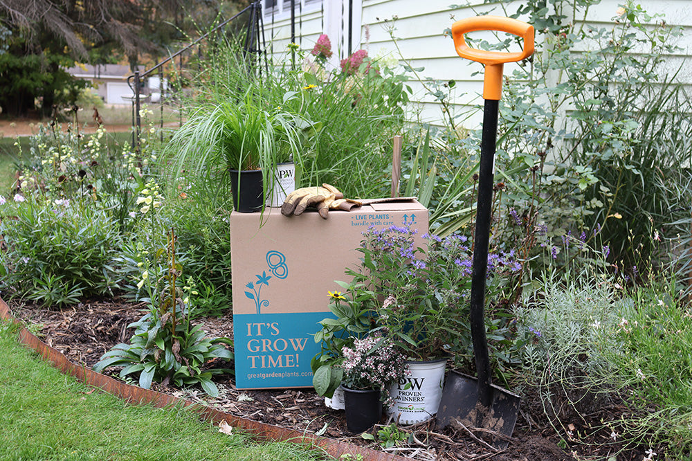 A box with plants and a shovel in landscaping