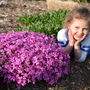 Little girl posing next to a mound of pink phlox flowers