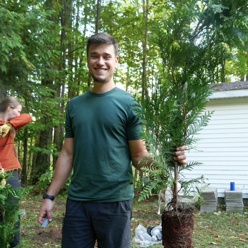 Man holding a 'Green Giant' arborvitae tree in a forested area with another person in the background.