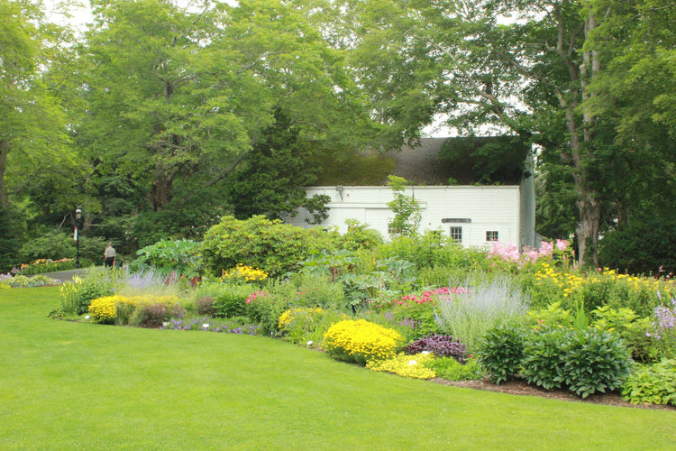 Cottage Garden inspiration