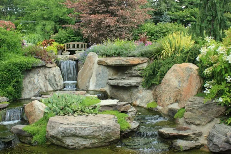Rock garden with a variety of plants and a water feature