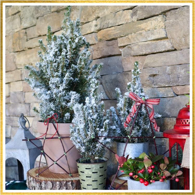 Flocked holiday trees in a gold frame