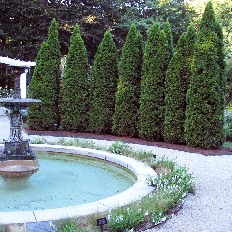 Fountain with decorative elements in a garden setting with Emerald Green arborvitae trees in the background