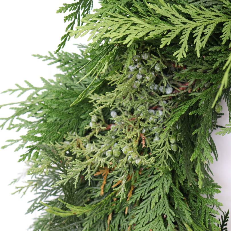 Gros plan d'une couronne de Noël fraîche ornée de petites baies de genièvre sur fond blanc