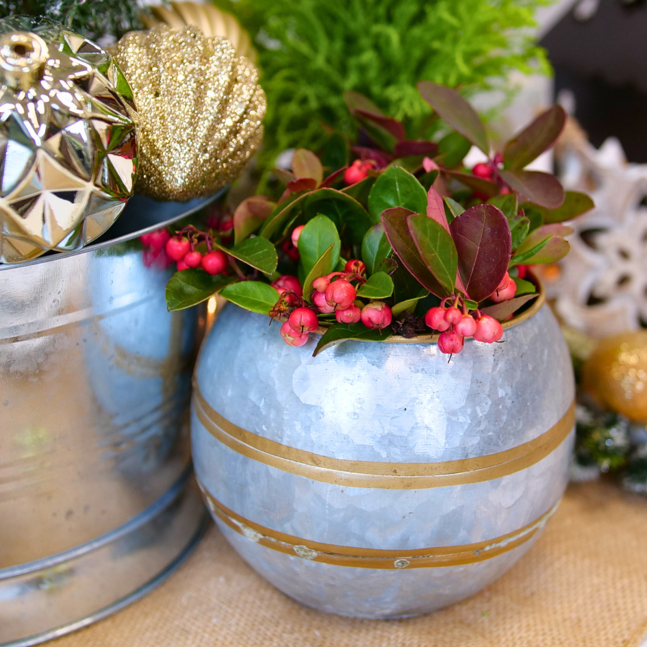Up close image of wintergreen berries in a holiday tablescape