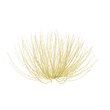 Arctic Fire Yellow 3D model
