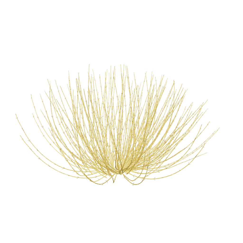 Arctic Fire Yellow 3D model