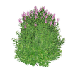 El Niño 3D model
