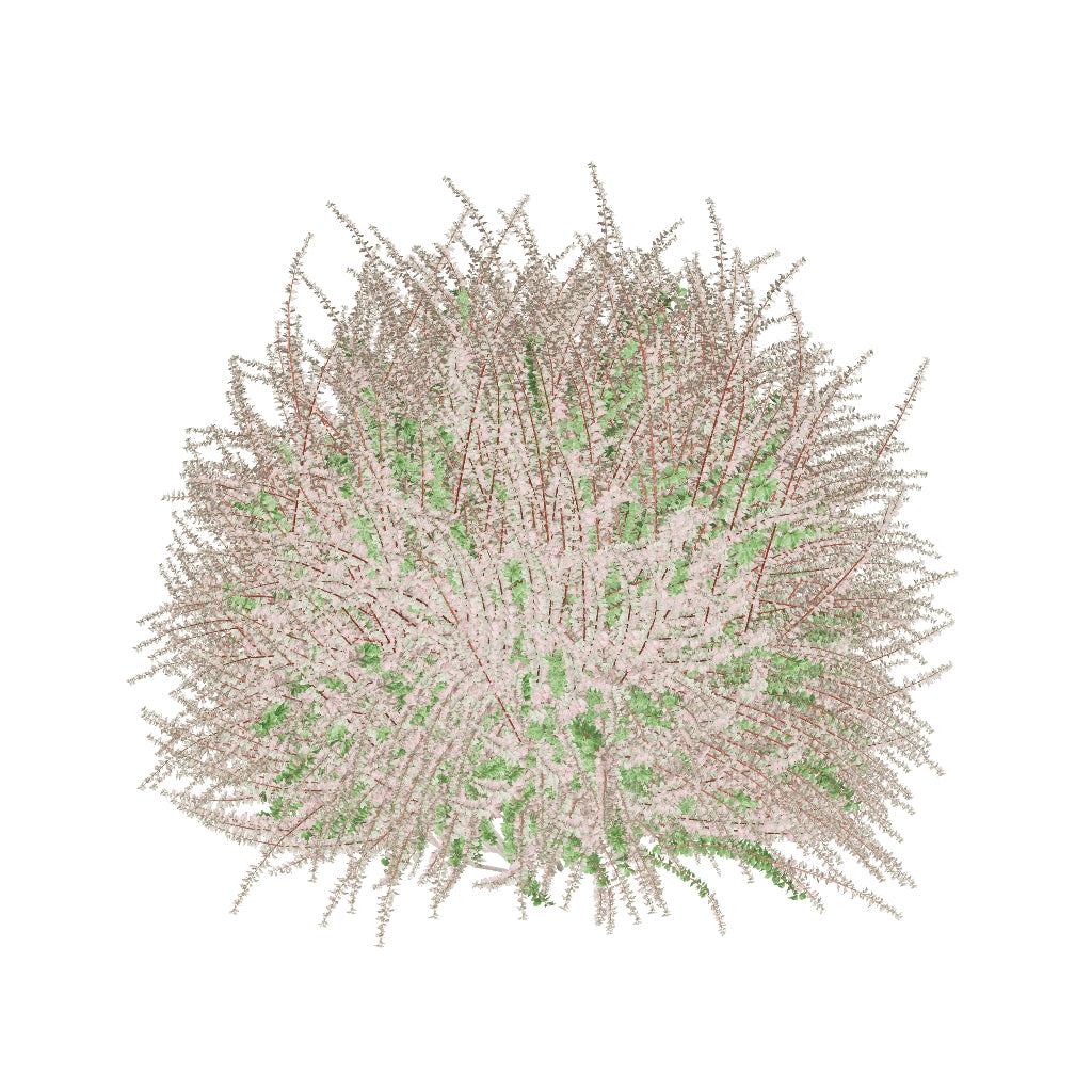 Sunjoy Sequins 3D model