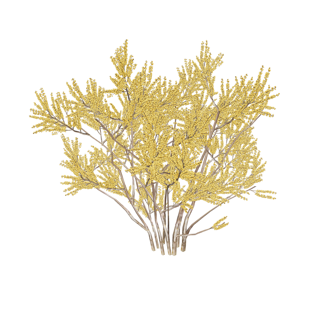 Berry Heavy Gold Winterberry Holly (Ilex) - Thumbnail 5