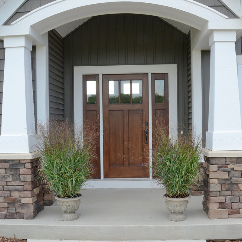 Du panic érigé 'Cheyenne Sky' de Prairie Winds en pots devant la porte d'entrée.
