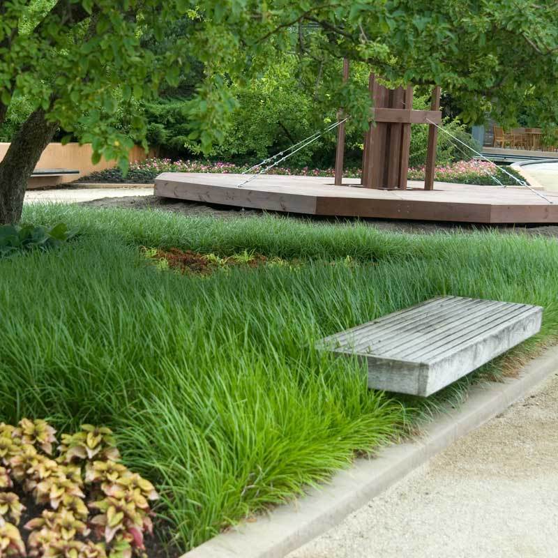 Lilyturf spreads quickly to form a thick carpet of graceful arching narrow green foliage. 