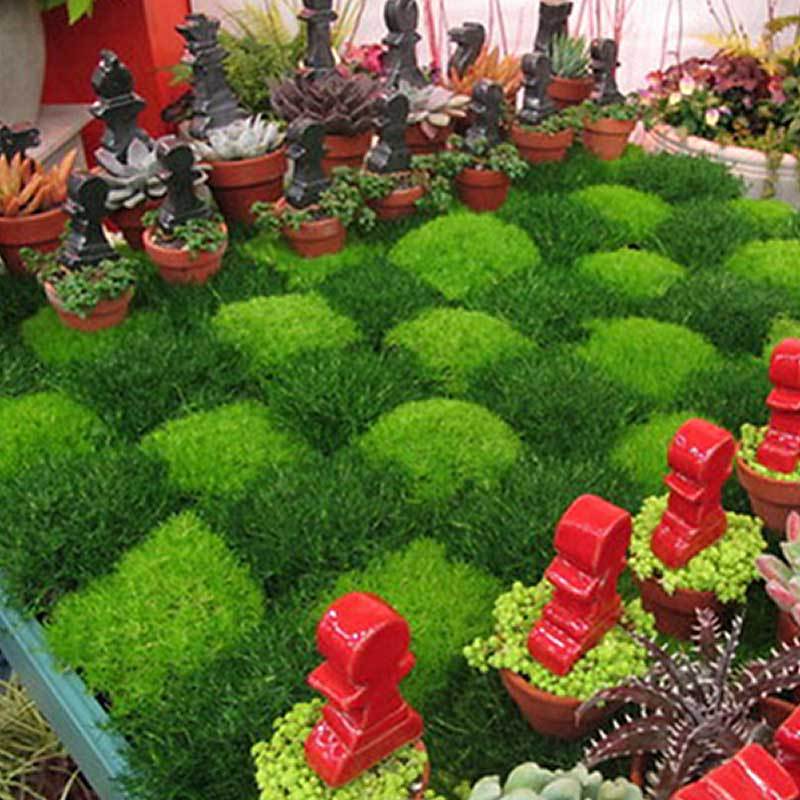 Irish Moss and Yellow Irish Moss alternated to make a checkered pattern. 