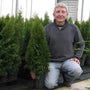 A man kneeling beside a batch of Emerald Green Arborvitae in a greenhouse. 
